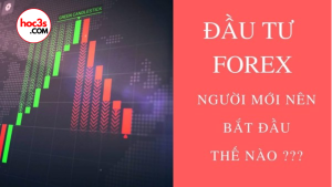 share khoa hoc Forex Dau tu ngoai hoi cho nguoi moi bat dau Forex Dau tu ngoai hoi cho nguoi moi bat dau 1