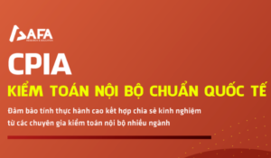 Share khoa hoc Kiem toan noi bo chuan quoc te CPIA – Long Phan