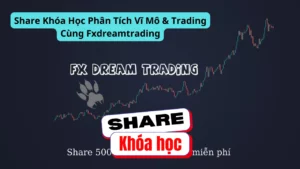 Share khóa học Phân Tích Vĩ Mô & Trading Cùng Fxdreamtrading