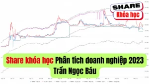 Share khóa học Phân tích doanh nghiệp 2023 giảng viên Trần Ngọc Báu