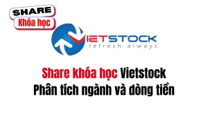 Share khóa học Phân tích ngành và dòng tiền do Vietstock đào tạo